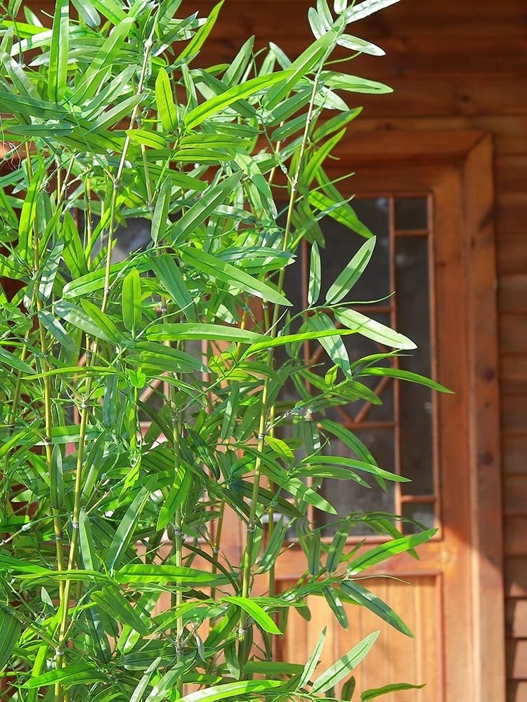 20 Pezzi di Albero di Piante di Simulazione di bambù Artificiale, 1 m 1.2 m 1.5 m 1.8 m di Altezza Piante di Seta Verde finte Ornamenti paesaggistici per l'arredamento di casa e Ufficio del