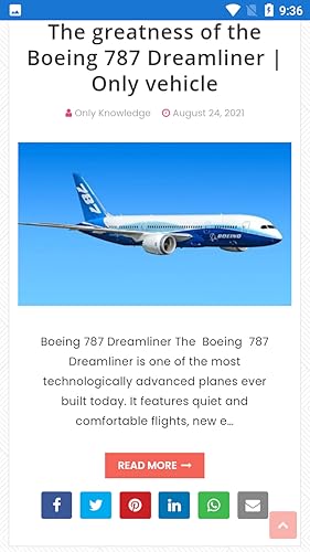 Only Vehicle (Cars, Airplanes, Bikes)