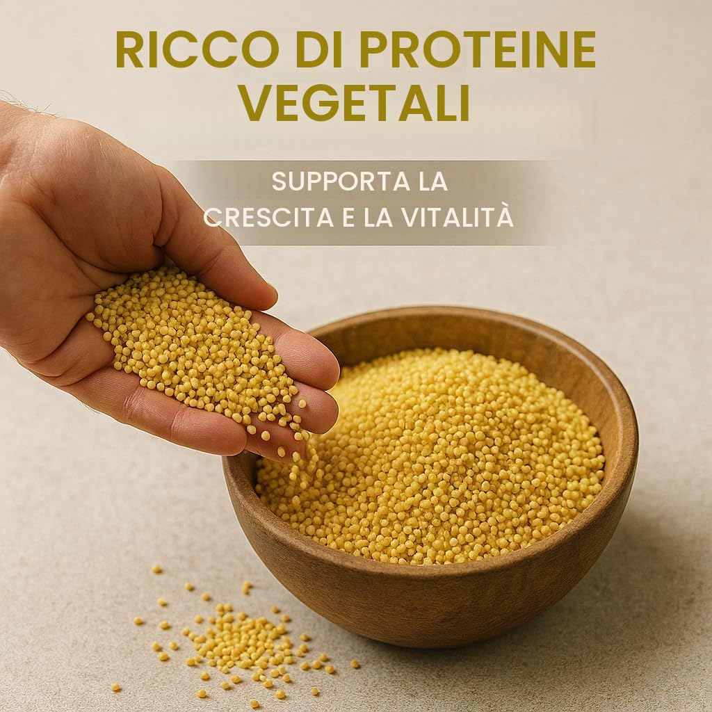 GiDeli Cibo per uccelli di miglio giallo, 20 kg, per pappagallini e canarini