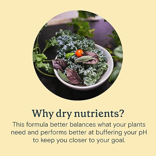 Miniatura 5 de Rise Gardens Dry Sprout Nutrient  Nutrientes hidropónicos y alimentos vegetales para el crecimiento de plantas de interior, nutrientes secos, 1.06 oz