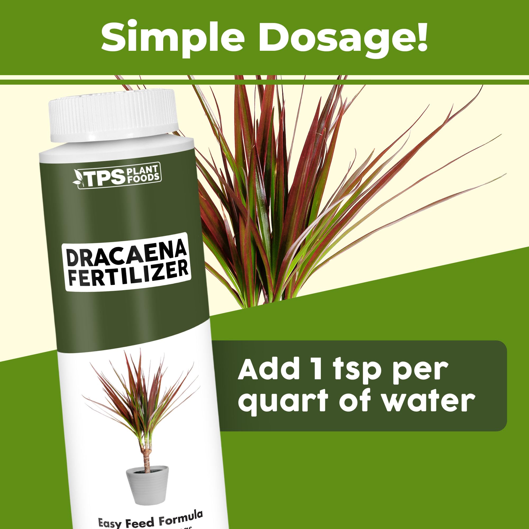 Amazon.com : Dracaena Fertilizer  Liquid Plant Food for Rich Green Leaves  & Strong Cane Growth, 8 oz : Patio, Lawn & Garden