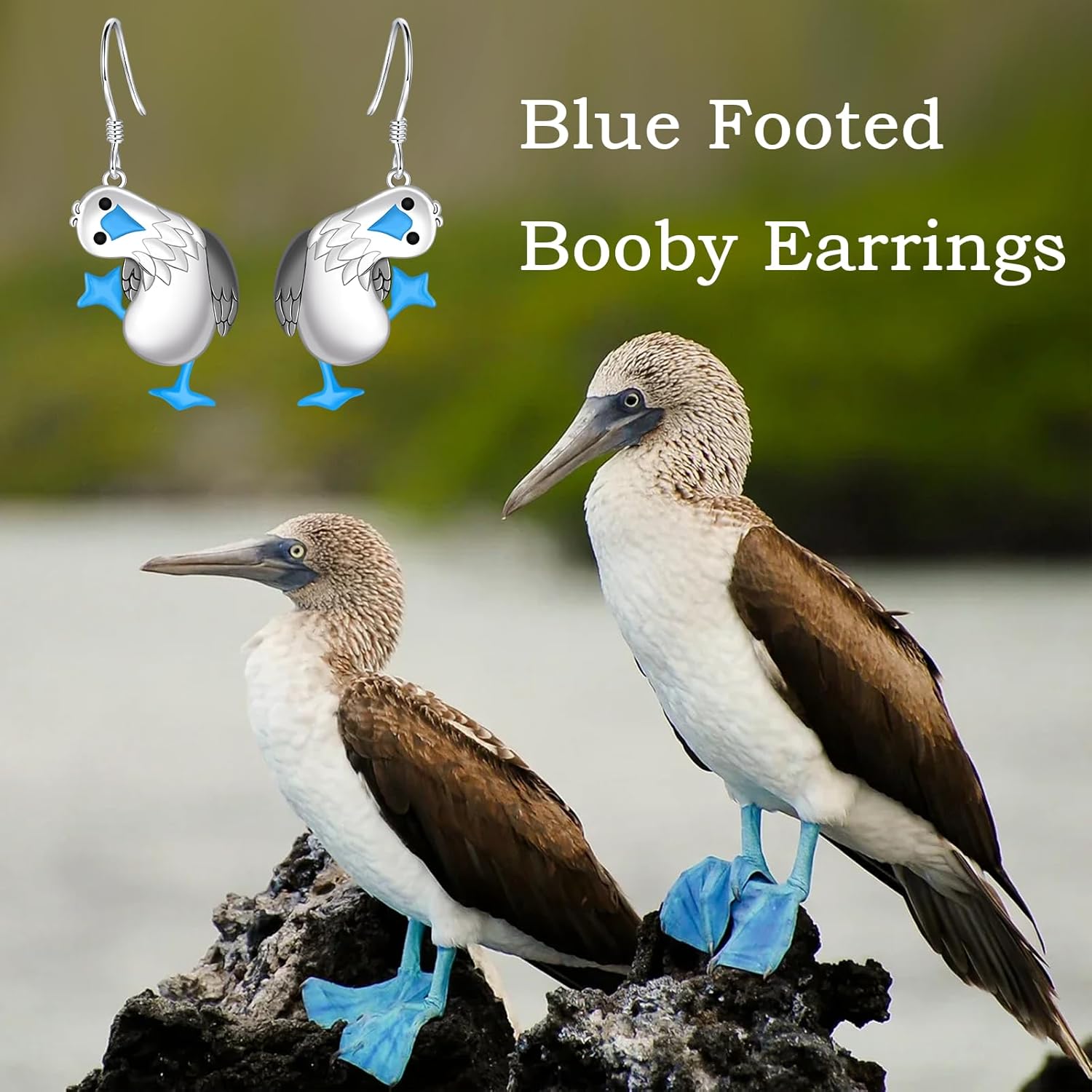 Blue Footed Booby Dangle Earrings: 925 Sterling Silver Hypoallergenic Cute Bird Drop Jewelry Gift for Bird Lovers Women Daughter on Christmas Birthday - Image 5