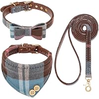 EXPAWLORER Set di collare e guinzaglio per cani, classico papillon e collare a bandana