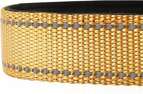 Vista 68 de Joytale - Collar reflectante para perro, collar de nailon transpirable con acolchado de neopreno suave para mascotas, ajustable para perros verde