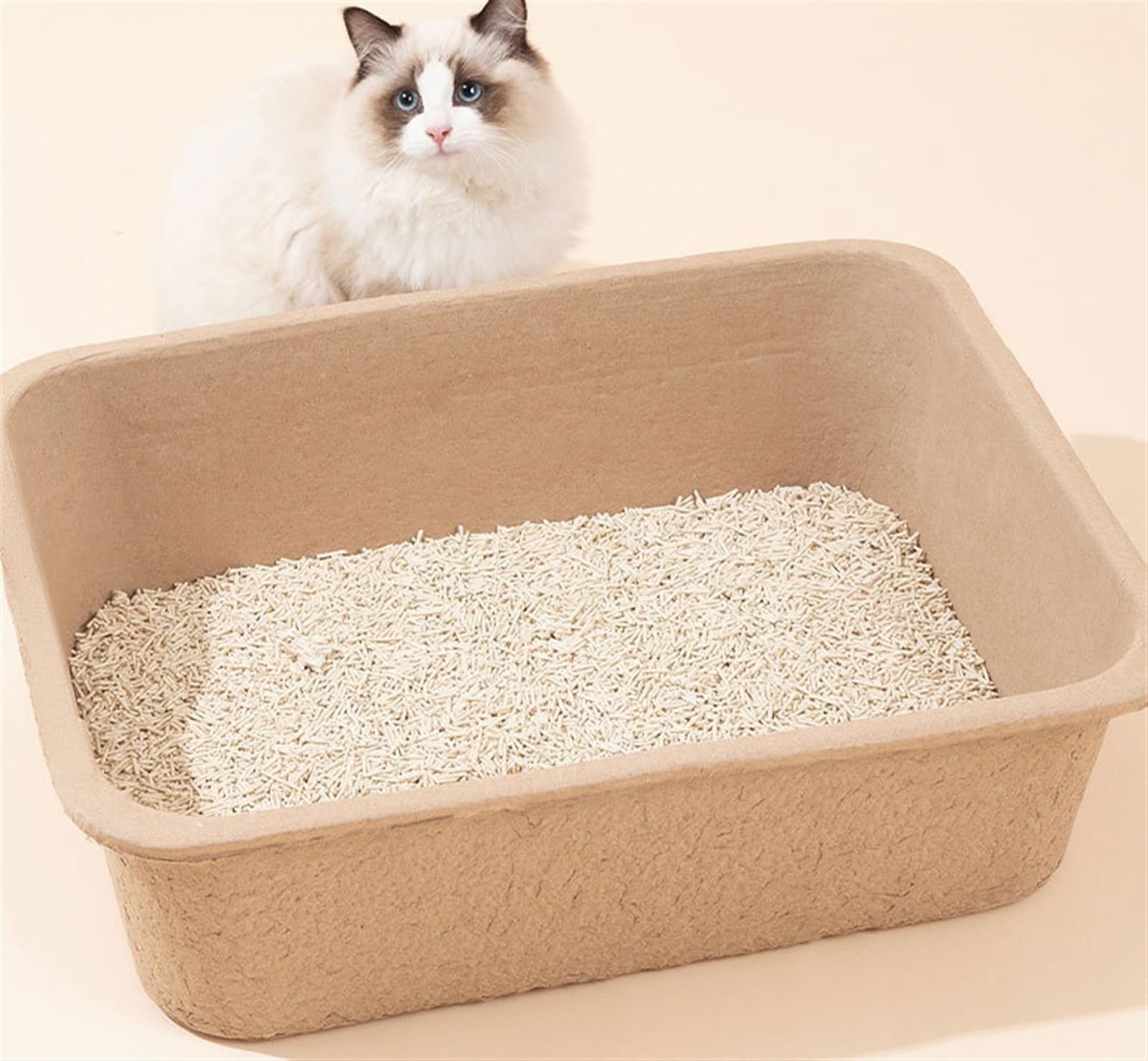 Toilette per Gatti, Lettiera per Gatti USA E Getta Lettiera per Gatti Aperta Padella Semi Chiusa Lettiera per Gattini con Lato Alto E Profondo Gatto Toilette(5pcs)