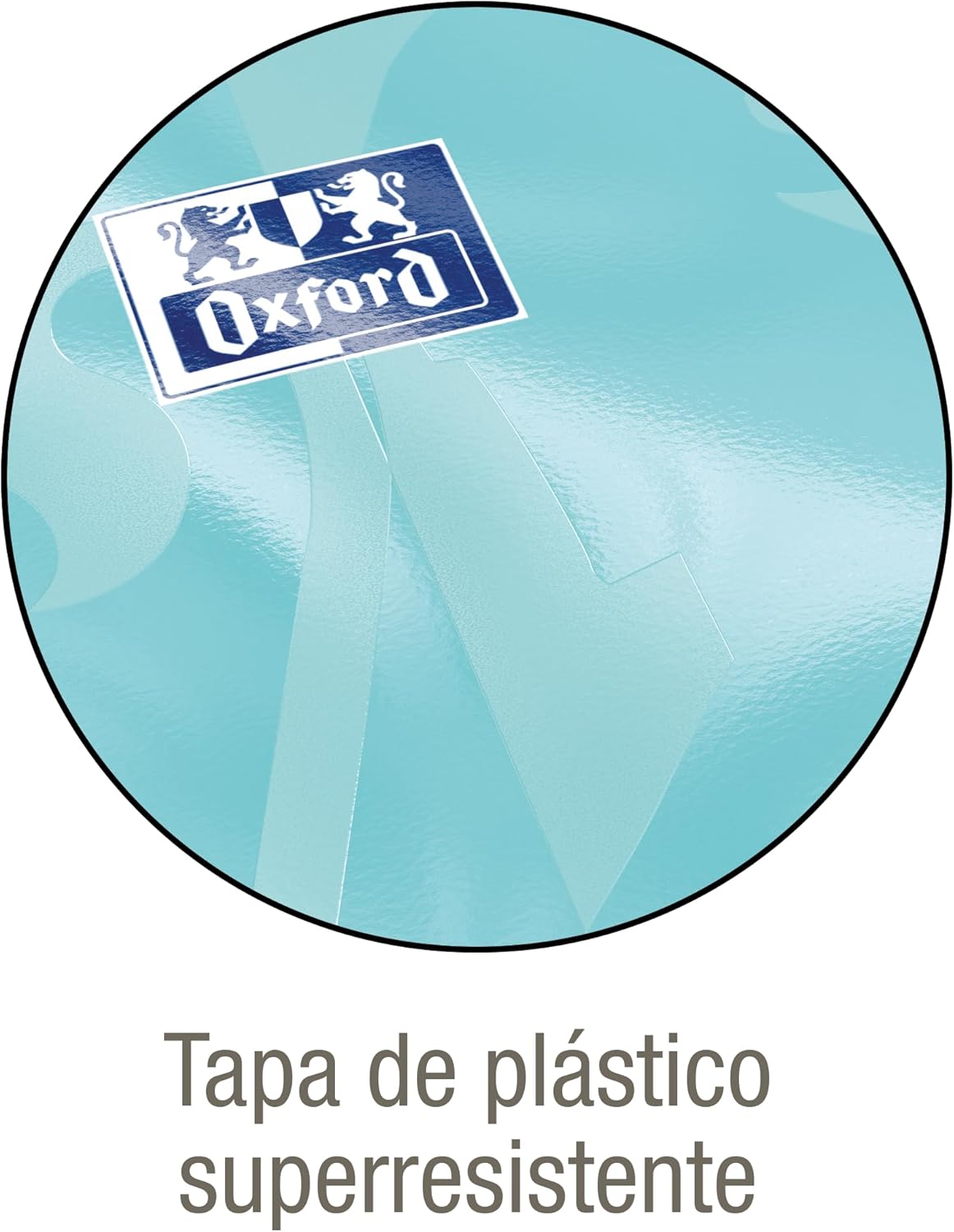 Oxford, A5 Stapled Notebooks, 4x4 Squares, Plastic Cover, 48 Sheets, Pack 10 Notebooks, Pastel Colours