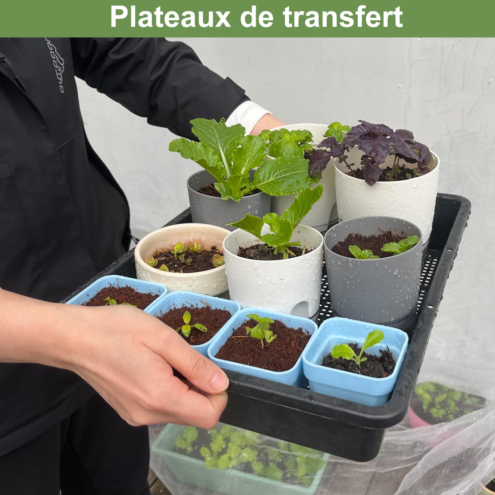 BeGrit Plateau de Semences Lot 10 Plateaux Semis Potager 37x30 cm Bac à Semis de Jardin pour Graines à Germer Micro-pousses & Germination Plateaux de Culture Rectangulaires Légume pour Fruit Plantes