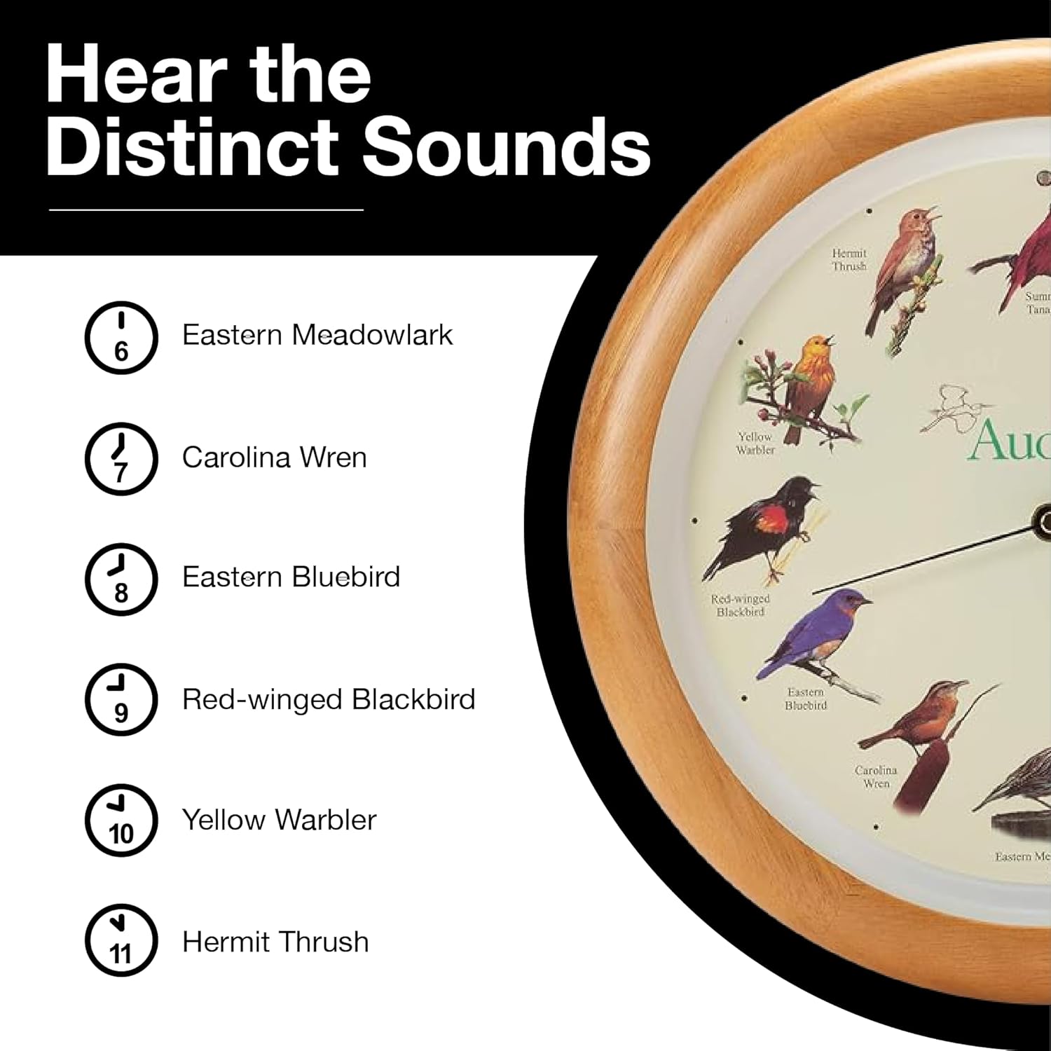 Mark Feldstein, Audubon Singing Bird Wall Clock, 13 Inch, Premium Oak