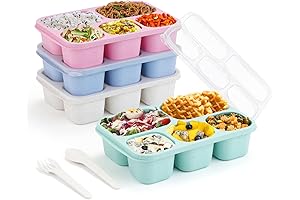 Bento Lunch Box - Reusable Snack Container for Adults and Kids