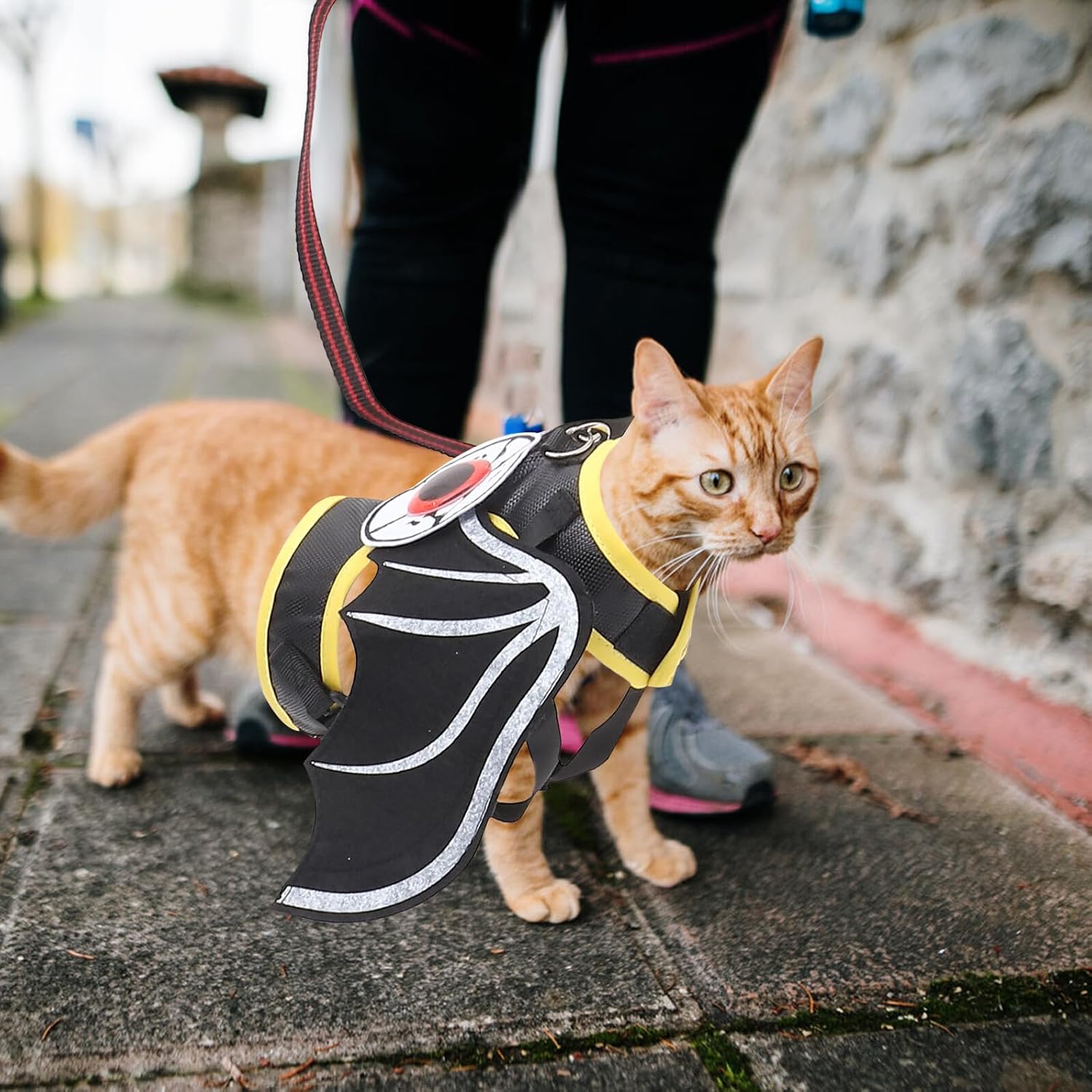 Kichvoe Cat Harness Leash Set Winged Eyes Decorative Small Cat Harness Pet Walking Supplies with Leash for Travel and Outdoor