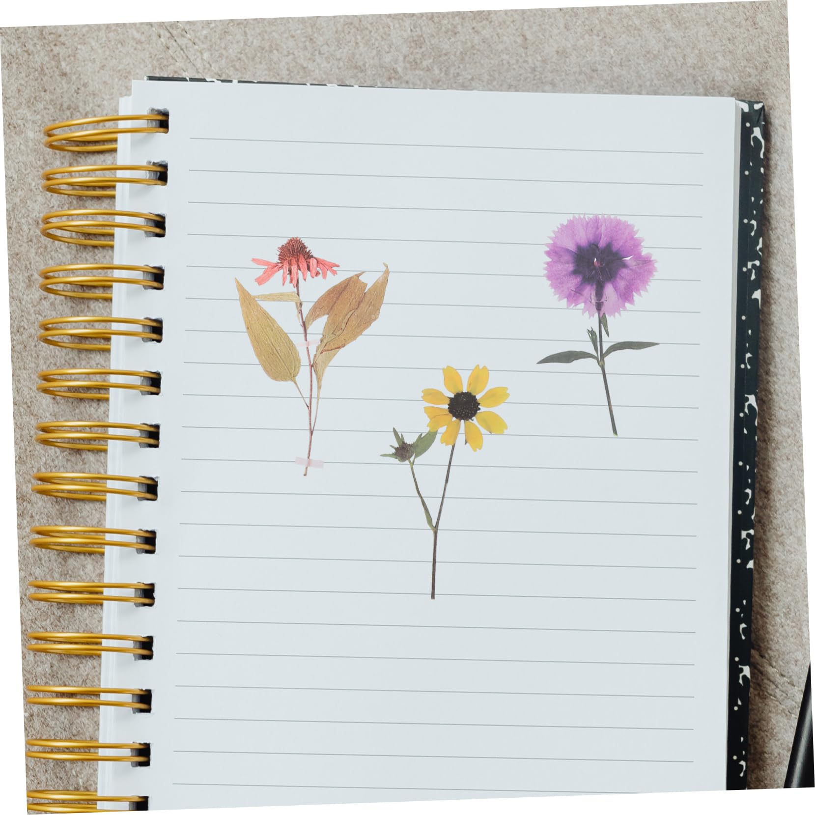 Artibetter 18packungen Elegante Trockenblumen Sticker Pack Dekorative Aufkleber Für Scrapbooking Notizbücher Kunst Und Bastelprojekte Für Kreative Dekorationen Und