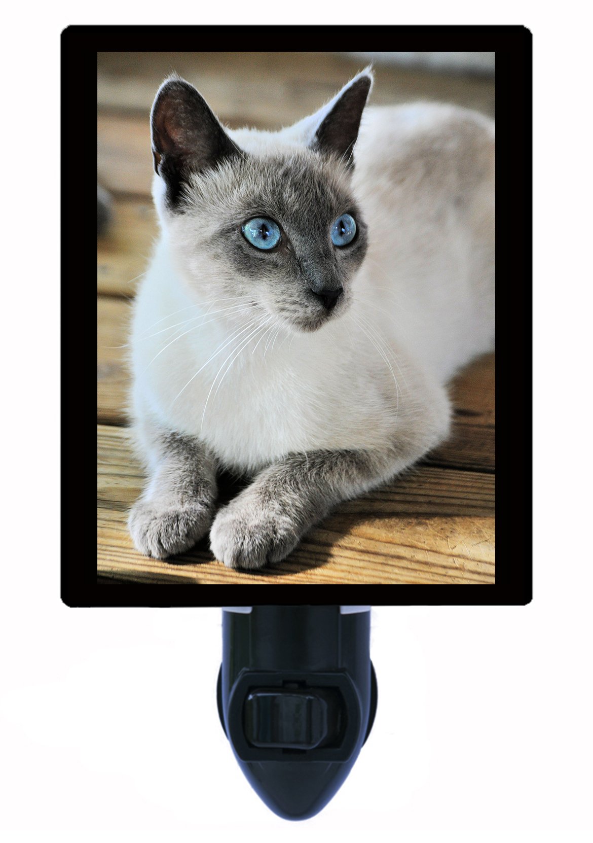 Cat Night Light, Old Blue Eyes, Siamese Cat, Cats