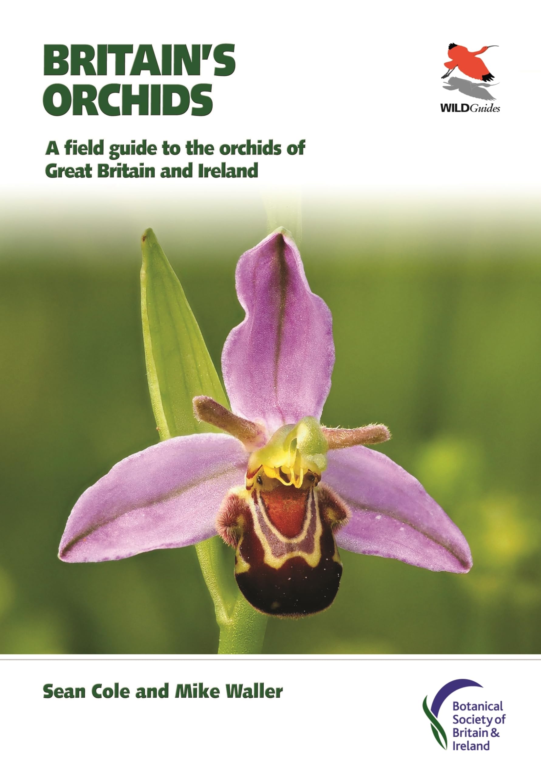 Britain's Orchids (Britain's Wildlife): A Field Guide to the Orchids of Great Britain and Ireland (WILDGuides): 43 (WILDGuides of Britain & Europe)