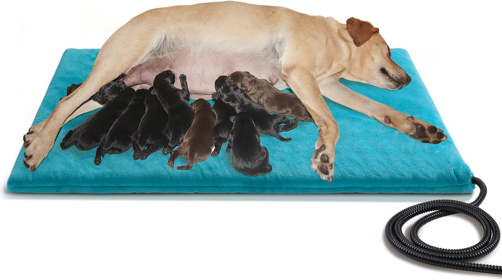 Thermotex Far Infrared Premium Heating Pet Pad Ð Animal