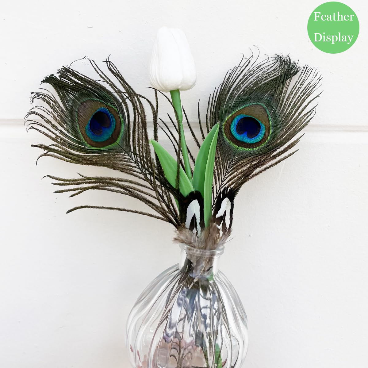 Plumes De Faisan Naturelles Marron - Pour Créations DIY & Déco X20