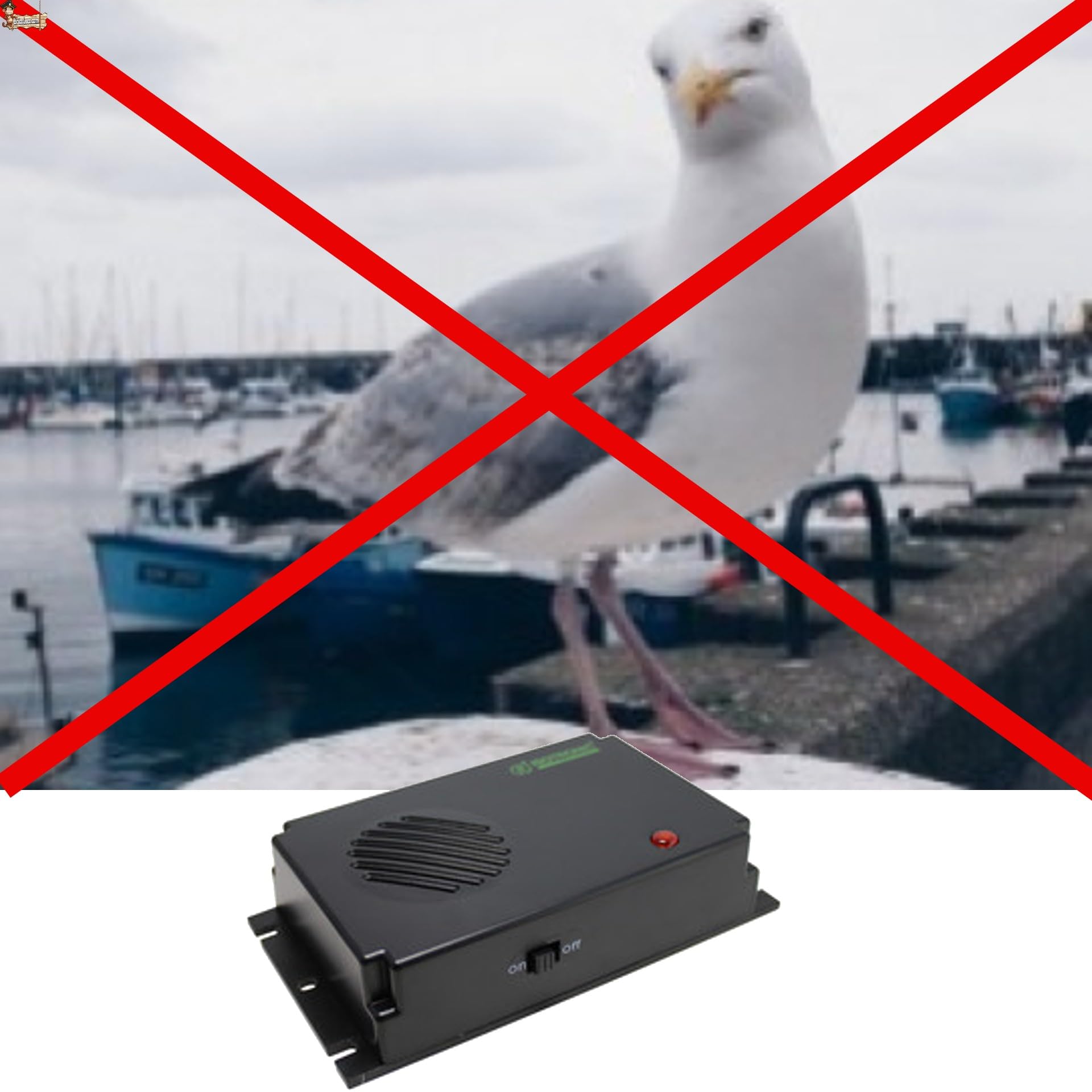 BricoLoco.com Ahuyentador espanta pájaros por ultrasonido. Pack 3x40 m2. Repelente Anti Palomas. Exterior o Interior. Más fácil Que Pinchos, más eficaz Que búhos. Pilas NO Incluidas (3, SIN Pilas)