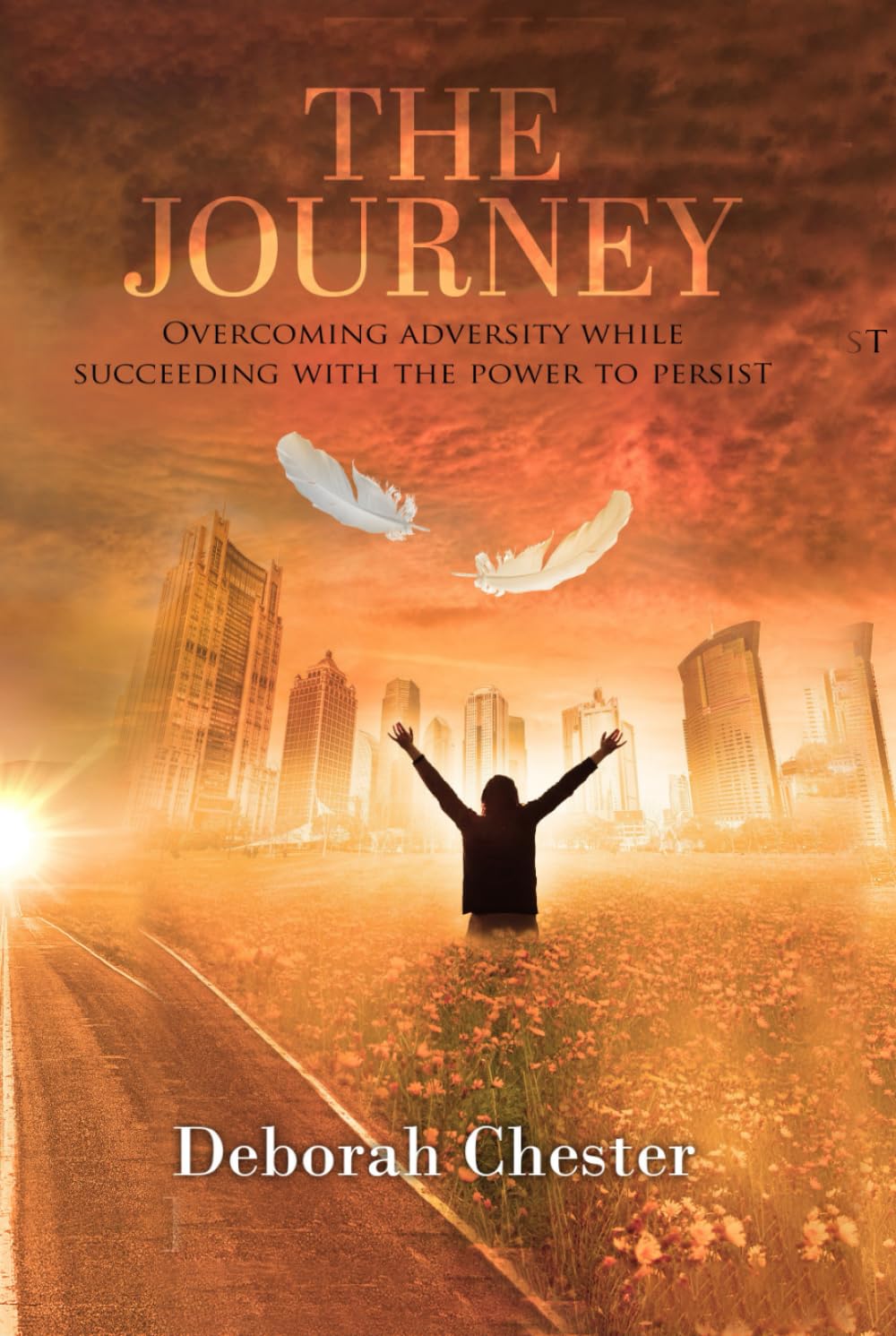 The Journey: Overcoming adversity while succeeding with the power to persist