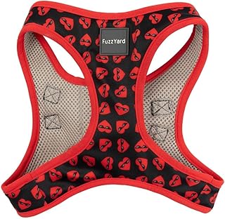 FuzzYard Heartbreaker Step in Dog Harness (Small)