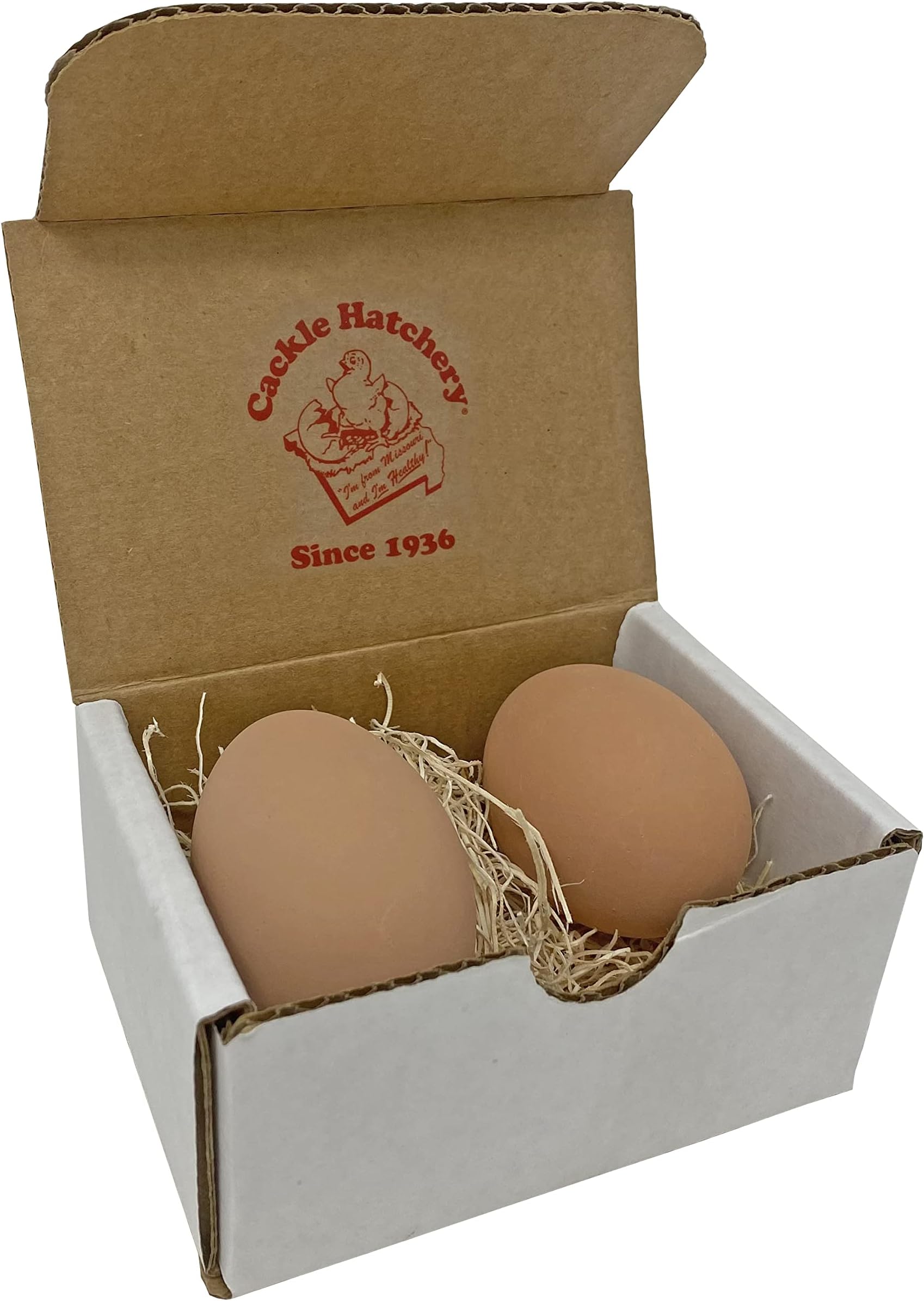 Cackle Hatchery Brown Ceramic Nest Eggs (2ct) - Chicken Egg Accessories