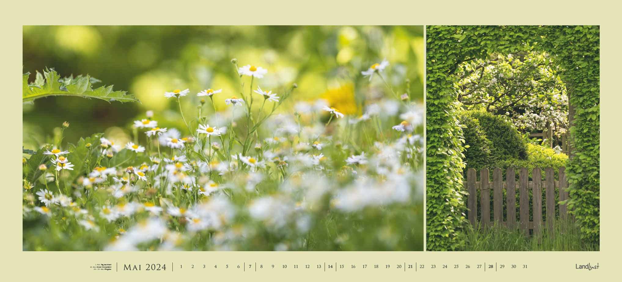 Landlust Panorama: Garten-Kontraste 2024 Wand-Kalender - Panorama-Kalender - Fotografie - Gartenkalender 110x50