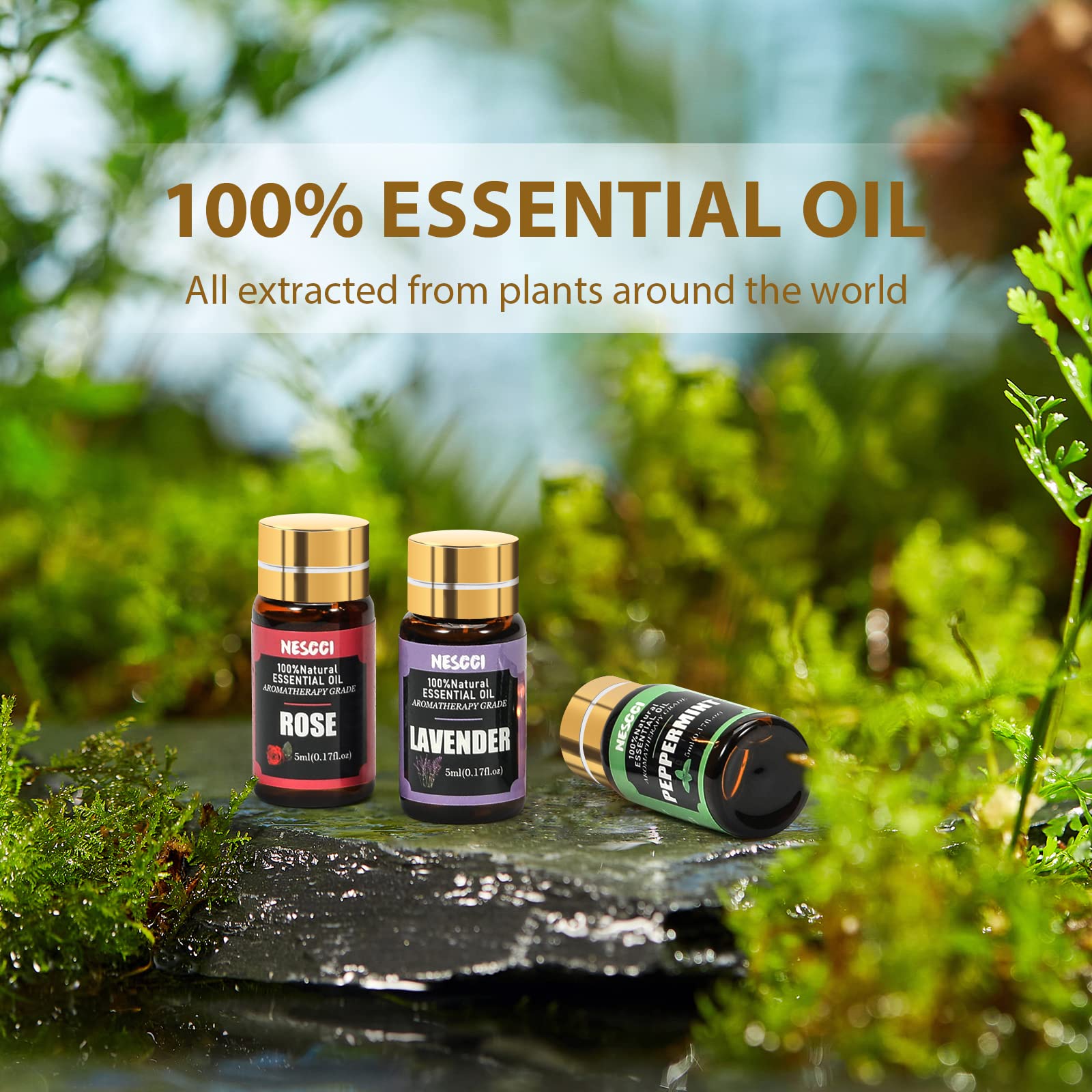 Juego de regalo de aceites esenciales, para difusor, humidificadores, aroma de aceite de fragancia para hacer velas y jabones