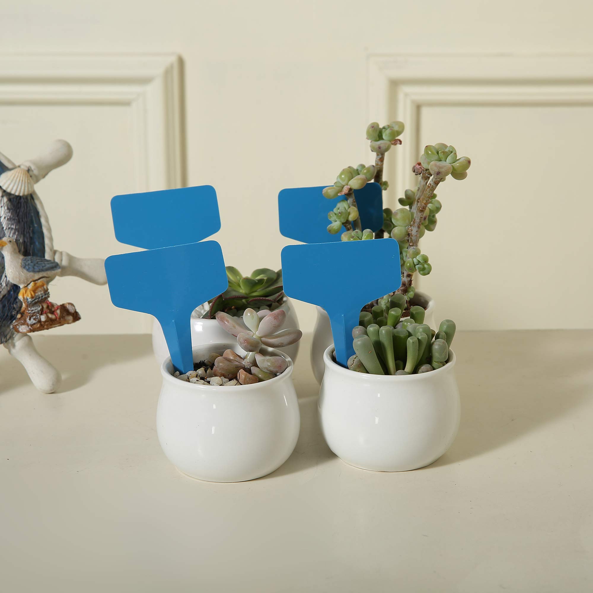 ETICHETTE PIANTE GIARDINO capovolto etichette tipo T strumenti marcatori fai da te impianto