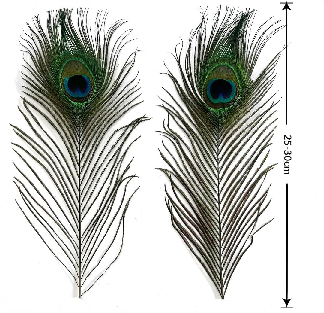 Natural Peacock Feathers with Eye Peacock Tail Feathers 10-12inch(25-30cm) for Wedding Party Arts and Crafts Home Decorations (100)