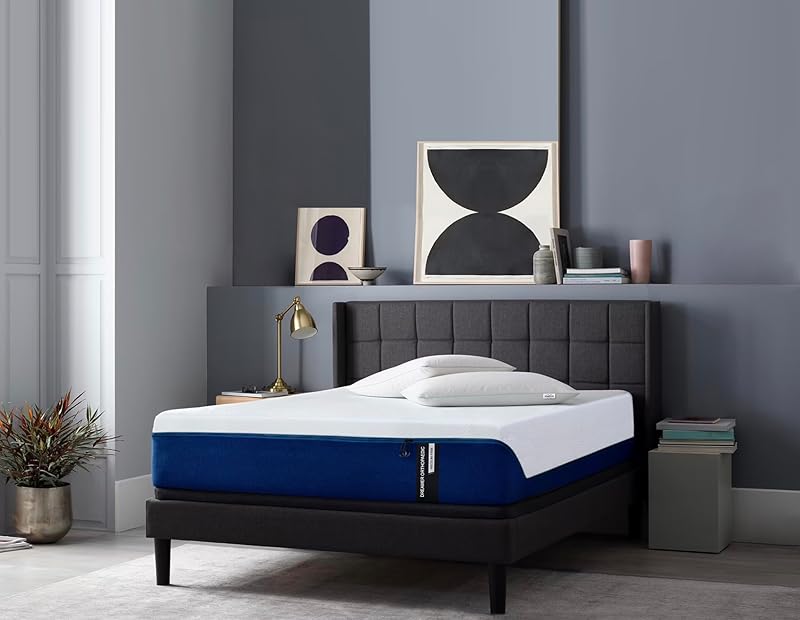 Sleepyhead Spine Therapy Orthopaedic Foam Mattress Queen