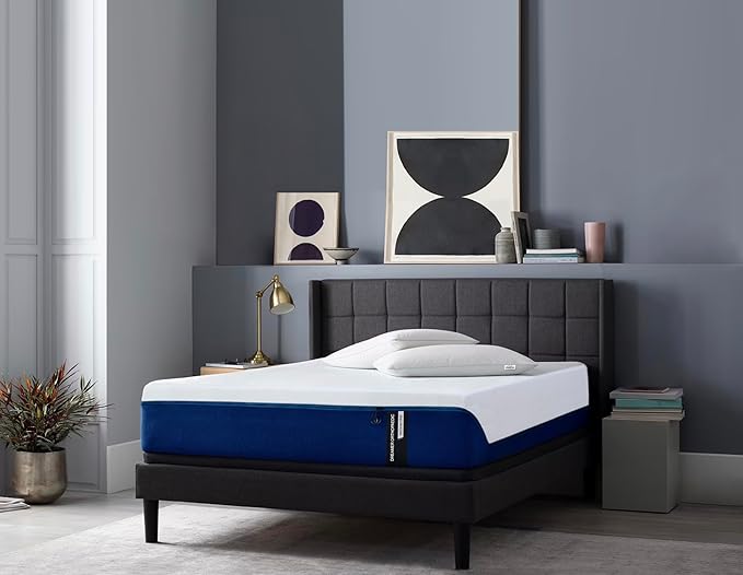 Springtek Dreamer 72x60x6 Inches Queen Size Mattress | Memory Foam Mattress | Medium Firm Orthopedic Mattress | 3 Layer Cool Memory & HR Support Foam Gadda | Mattress Double Bed Mattress