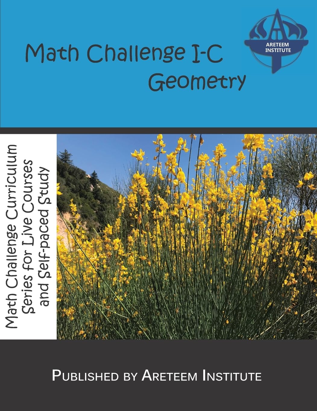 Math Challenge I-C Geometry (Math Challenge Curriculum Textbooks)