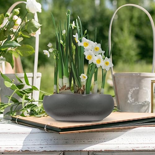 Miniatura 5 de Happyyami Decoración de mesa de comedor, maceta de agua hidropónica, maceta de cerámica para suculentas, bonsái, lirio de agua, narciso, recipiente