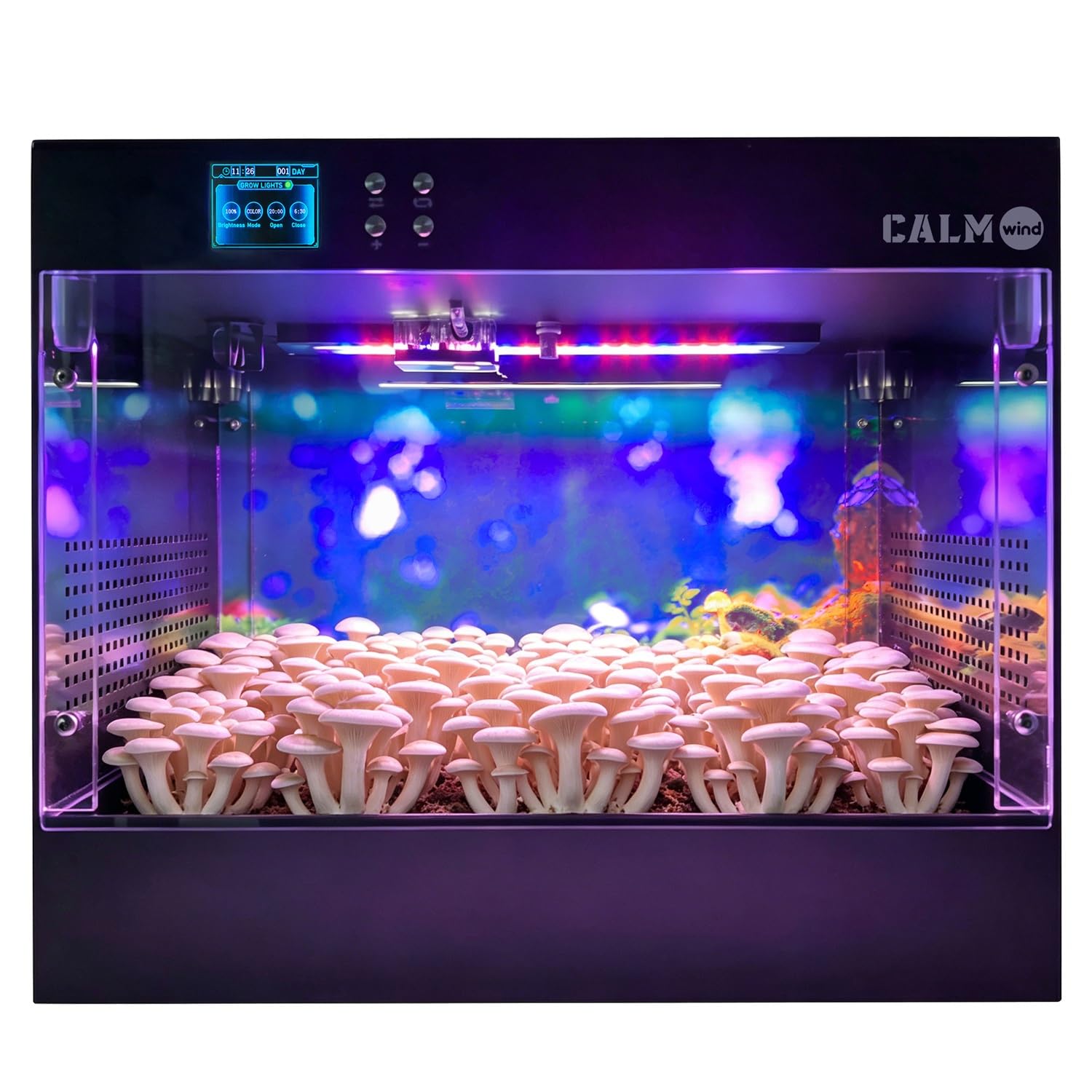 Smart Grow Box Station de culture de mycélium pour culture automatique de