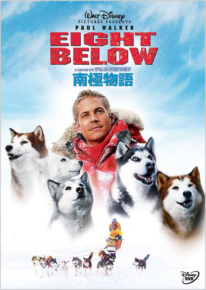 南極物語DVDと当時のパンフレット 南極物語DVDと当時のパンフレット 南極物語 映画パンフレット
