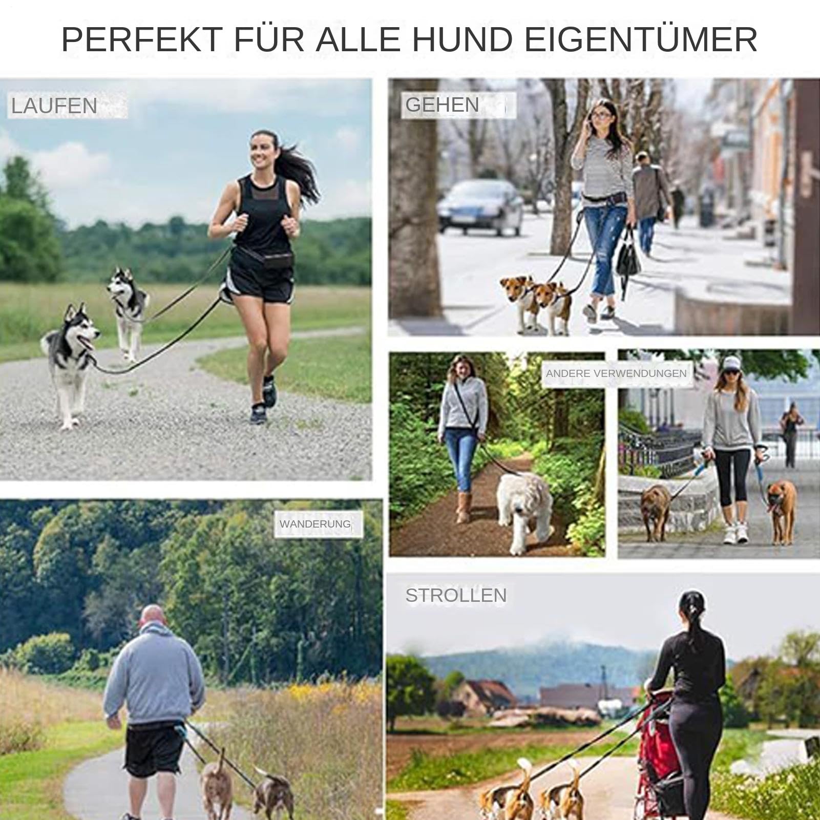 Longe Pour Chien Sangle Corde Chien Réfléchissante et Ajustable