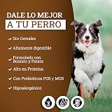 Ver la foto 2