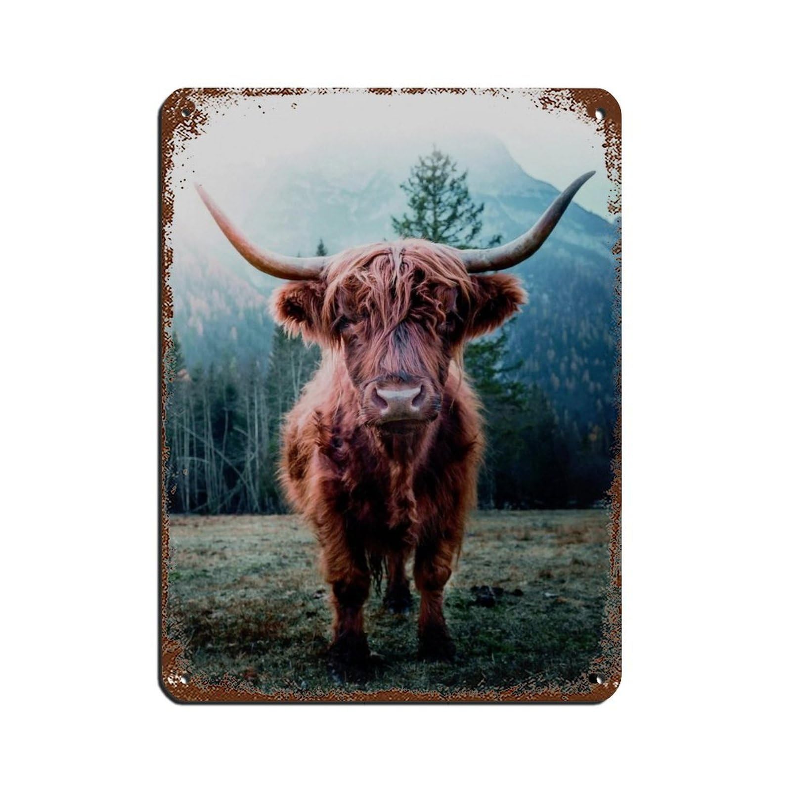 Highland Cow, Scotland Cow Poster, Tin Sign Vintage Metal Pub Club Cafe Bar Home Wall Art Decoration Poster Retro 12x16inch(30x40cm)