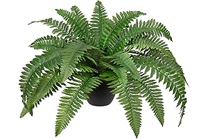 Artificial Boston Fern Plant with 35 Leaves