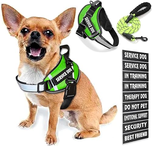 Chaleco de servicio para perro, 9 parches para perros, arnés y correa para perro con asa, arnés de chaleco para mascotas fácil de poner y quitar con