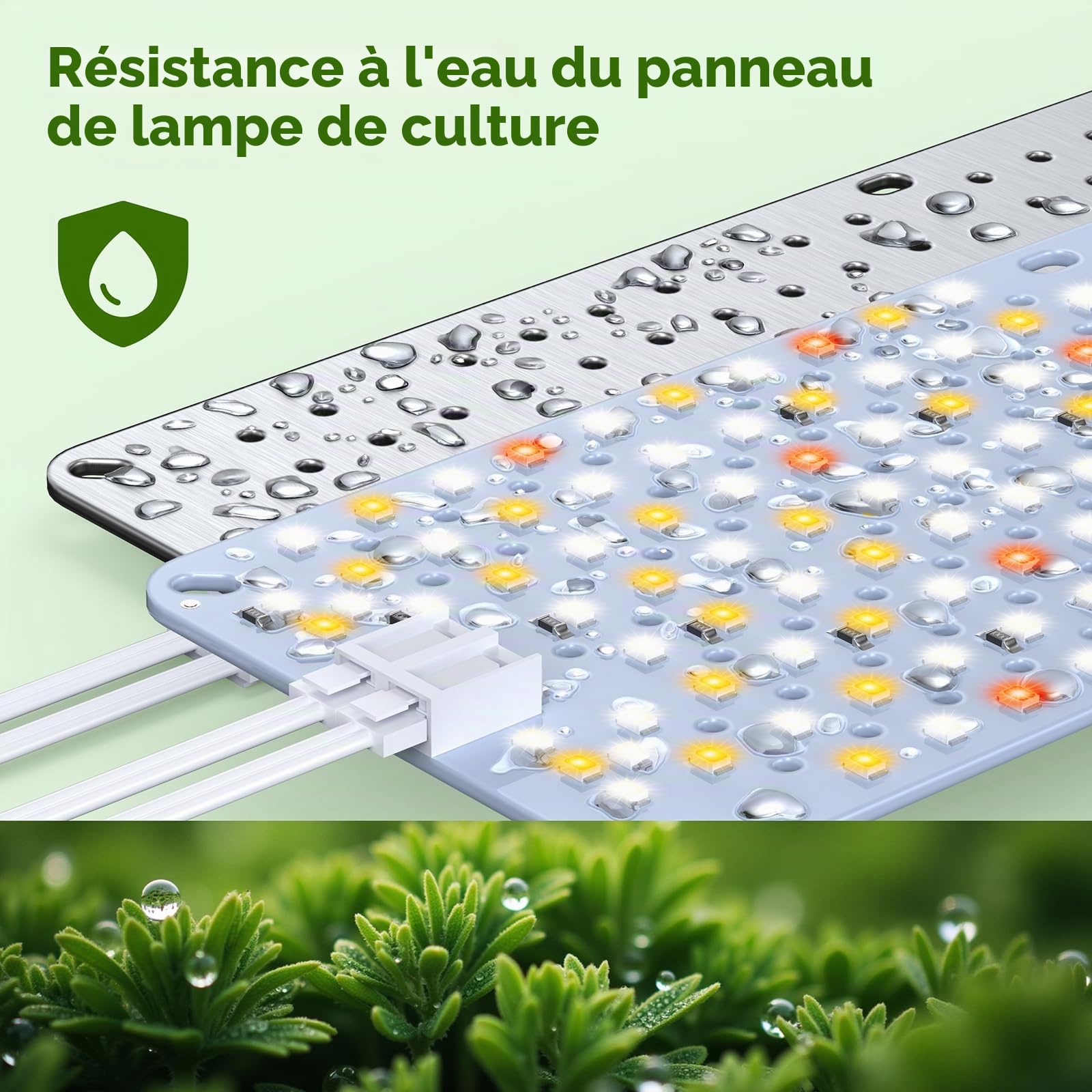 5PCS Lampes de Croissance à Spectre Complet pour Plantes d’Intérieur, Panneaux LED 60W avec Daisy-Chain, Minuterie Automatique 4/8/12H, 960 LEDs, Lumière Type Soleil pour la Culture en Intérieur