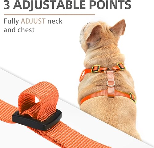 Miniatura 8 de PUPTECK Juego de arnés y correa para perros pequeños, antitirones, malla suave, reflectante por la noche, gris, S