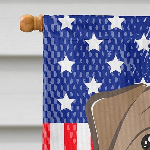 Vista 142 de Caroline's Treasures BB2171GF American Flag and Border Collie Garden Flag Mailbox Flag Decorative Yard Flag Banner Outside Patio Artwork Yard Flower