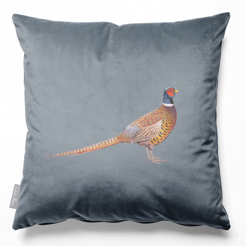 Izabela Peters Pheasant - French Grey Eco-Friendly Velvet Cushions With Covers Included, 45 Cm, Chair & Sofa Seat Cushions