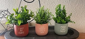 Review Image by RaeRae RaeRae