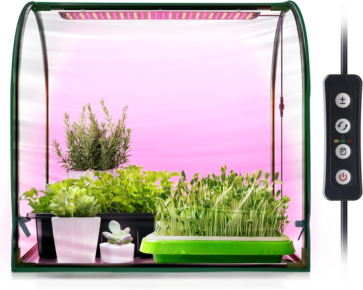 Bstrip Indoor Mini Greenhouse with Grow Light ,27.2" L × 19