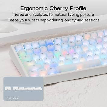 EPOMAKER AegisSil Key Cap Set Silicone Cherry Profile 113 Keys 65%/75%/96%