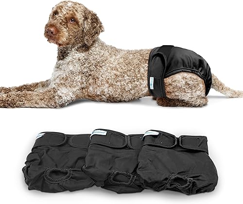 Paw Inspired Pañales lavables para perros, pañales reutilizables para perros, pañales lavables para perras, pañales de tela para perros con calor o