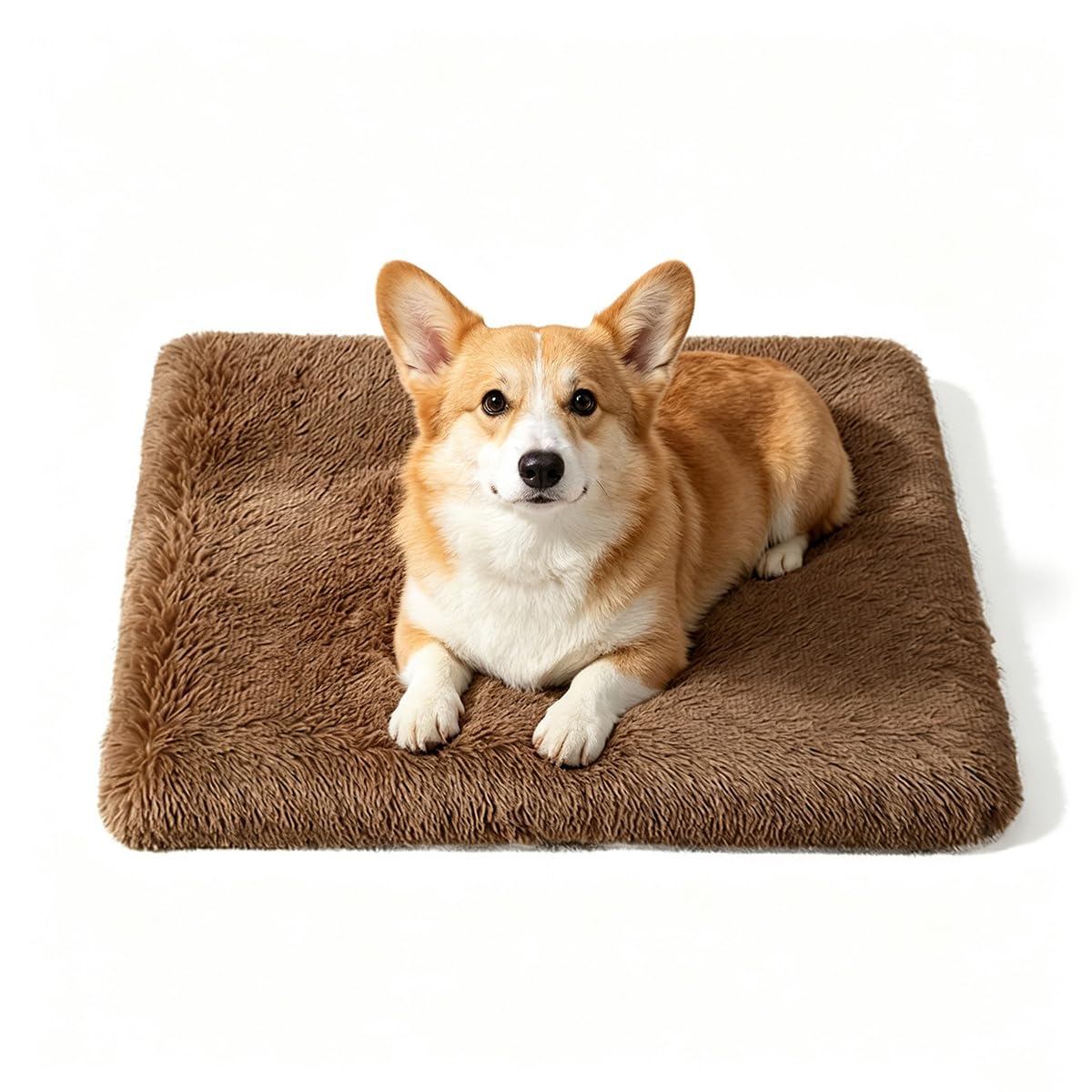 Dickes Plüsch-Hundebett, beruhigender Schwamm, Katzenunterlage