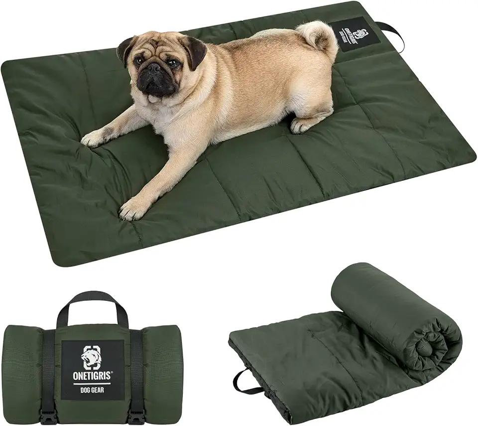 Geburtstag 2026 Jozy