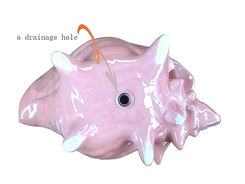 Miniatura 5 de Maceta de cerámica para orquídeas con agujero, maceta de playa, inauguración de la casa, decoración moderna para el día de San Valentín (rosa, 5