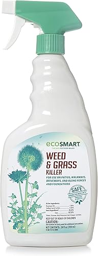 EcoSmart Fórmula en aerosol natural sin glifosato lista para usar para césped, patios, entradas y adoquines, botella de 24 onzas